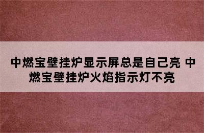 中燃宝壁挂炉显示屏总是自己亮 中燃宝壁挂炉火焰指示灯不亮